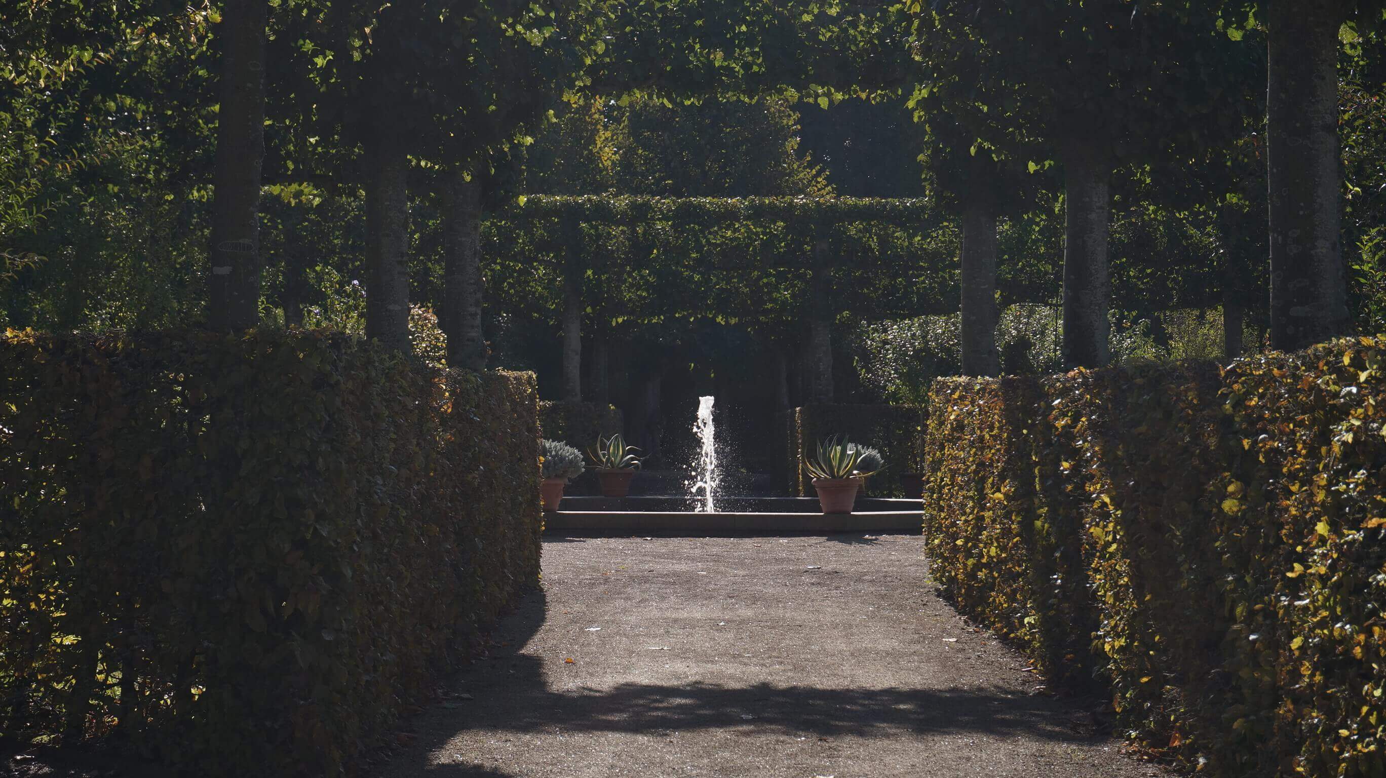 water feature in a park